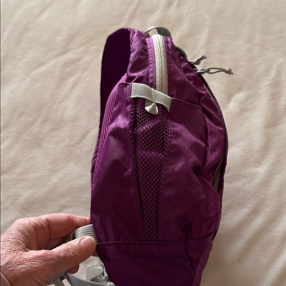Eddie Bauer Purple Backpack - Picture 6 of 9